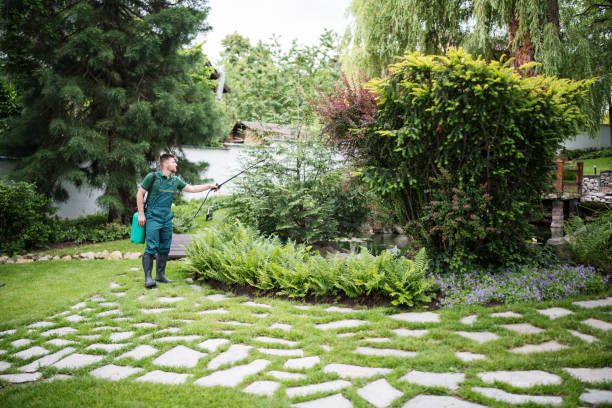 Best Pest Control Near Me  in Urbana, MD