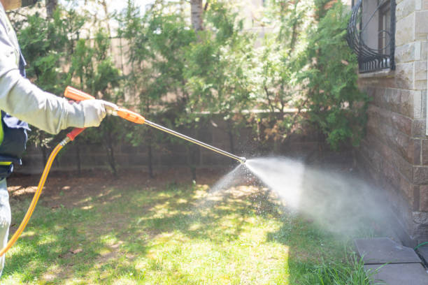Best Termite Control Services  in Urbana, MD