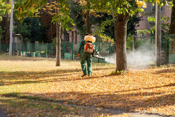 Best Commercial Pest Control Services  in Urbana, MD