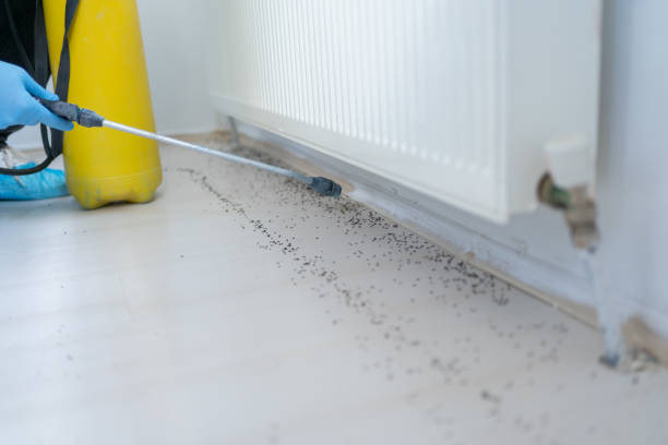 Best Pest Control Near Me in Urbana, MD